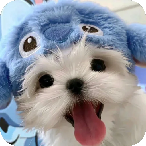 😝 Стикер «мило» для Telegram