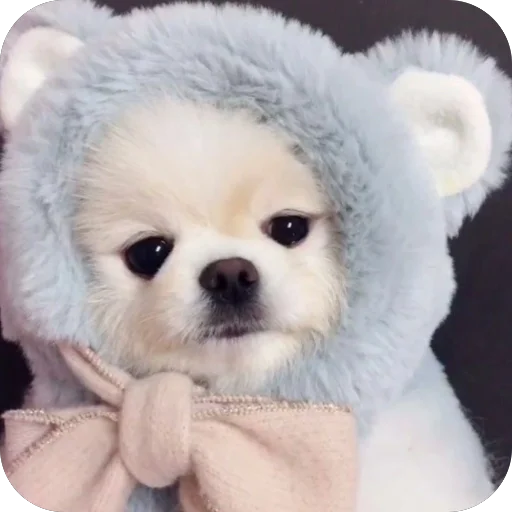 😶 Стикер «мило» для Telegram