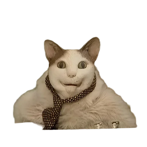 🐱 Стикер «МИЛЫЕ МЕМЫ» для Telegram