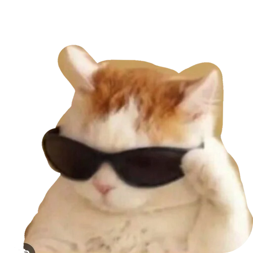 🐱 Стикер «МИЛЫЕ МЕМЫ» для Telegram