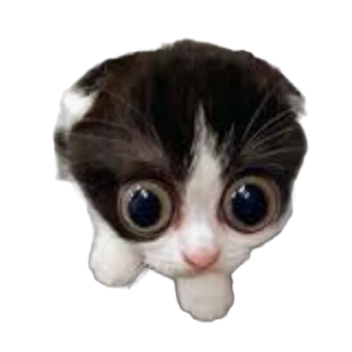🐱 Стикер «МИЛЫЕ МЕМЫ» для Telegram