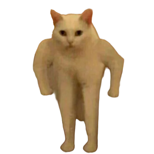 🐱 Стикер «МИЛЫЕ МЕМЫ» для Telegram