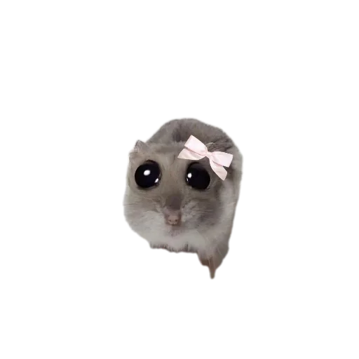 🐱 Стикер «Милые» для Telegram