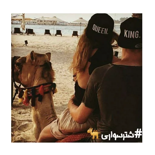 🐫 Стикер «javad» для Telegram