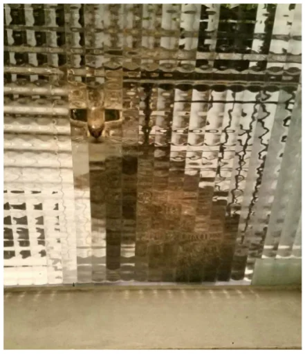 🙃 Стикер «Minecraft Cats» для Telegram