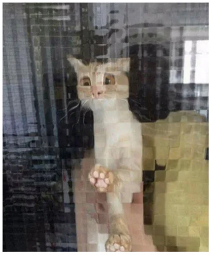 🤗 Стикер «Minecraft Cats» для Telegram