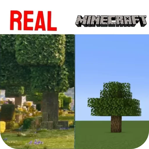 🌳 Стикер «Minecraft Real Life» для Telegram