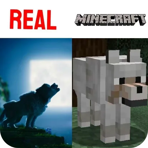 🐶 Стикер «Minecraft Real Life» для Telegram