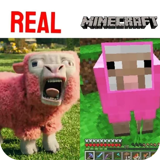 🐑 Стикер «Minecraft Real Life» для Telegram
