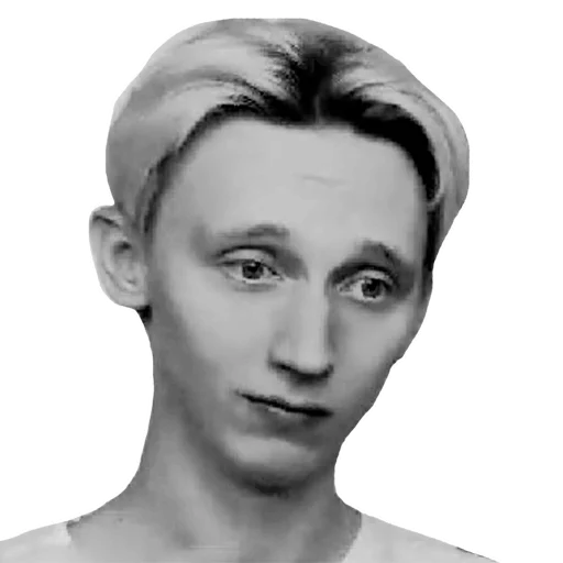 🦒 Стикер «MineShieldStickers» для Telegram