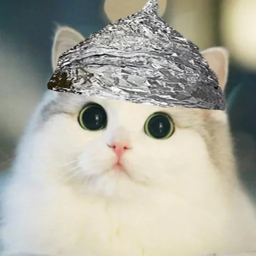 🪖 Стикер «El pack de mininos definitivo» для Telegram