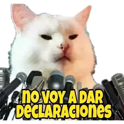 🤐 Стикер «El pack de mininos definitivo» для Telegram