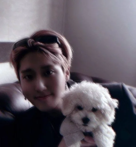 🐶 Стикер «MinSung» для Telegram