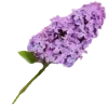 Стикер 54 Meow Emojis