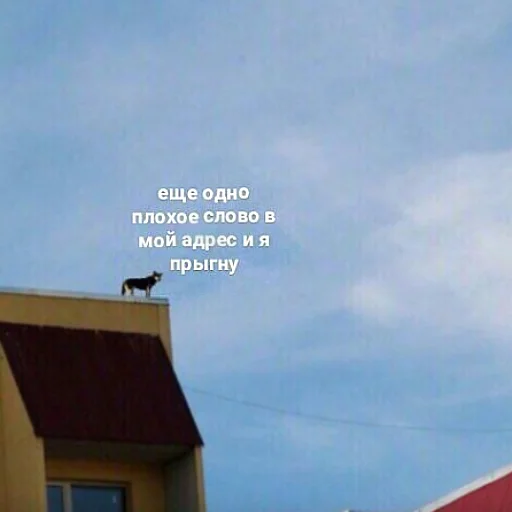 😔 Стикер «mi scusi» для Telegram