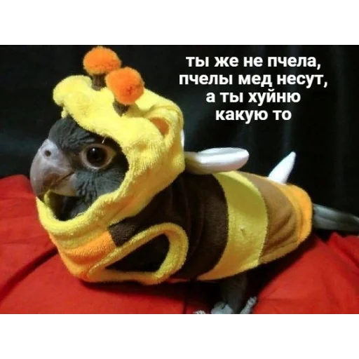 🐝 Стикер «mi scusi» для Telegram