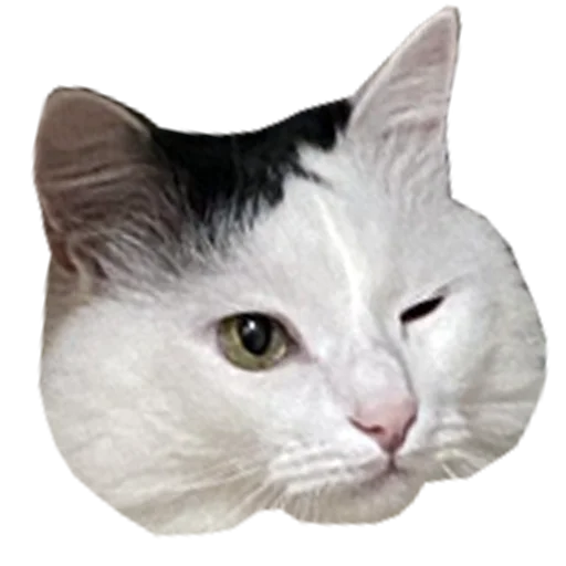 😉 Стикер «Mister Milkis» для Telegram