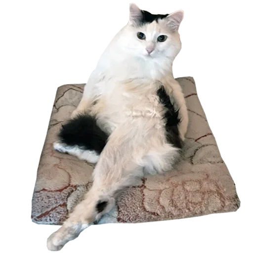 💃 Стикер «Mister Milkis» для Telegram