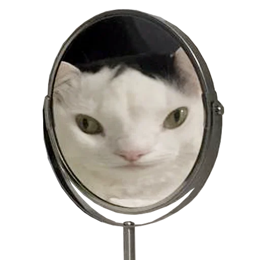 🪞 Стикер «Mister Milkis» для Telegram