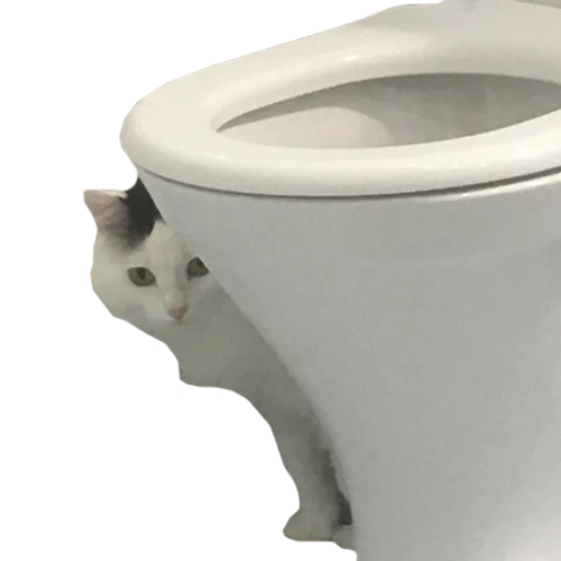 🚽 Стикер «Mister Milkis» для Telegram