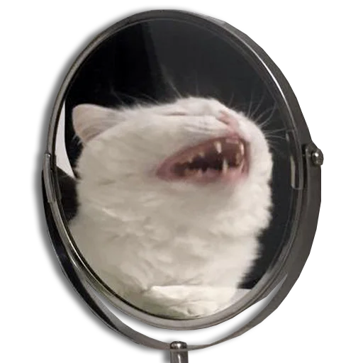 🤣 Стикер «Mister Milkis» для Telegram