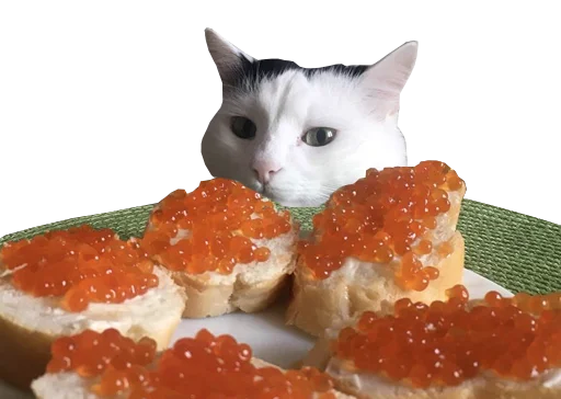 😋 Стикер «Mister Milkis» для Telegram