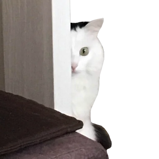 😶 Стикер «Mister Milkis» для Telegram