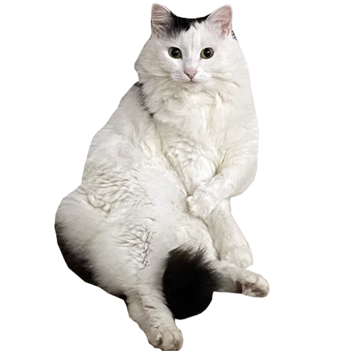 😏 Стикер «Mister Milkis» для Telegram