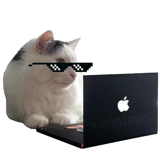 👨‍💻 Стикер «Mister Milkis» для Telegram