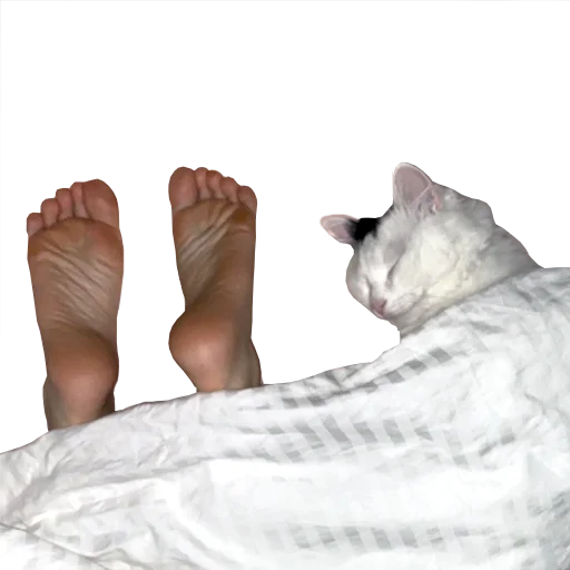 💤 Стикер «Mister Milkis» для Telegram