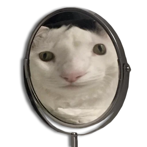 🪞 Стикер «Mister Milkis» для Telegram