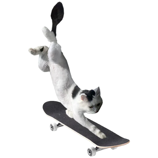 🛹 Стикер «Mister Milkis» для Telegram