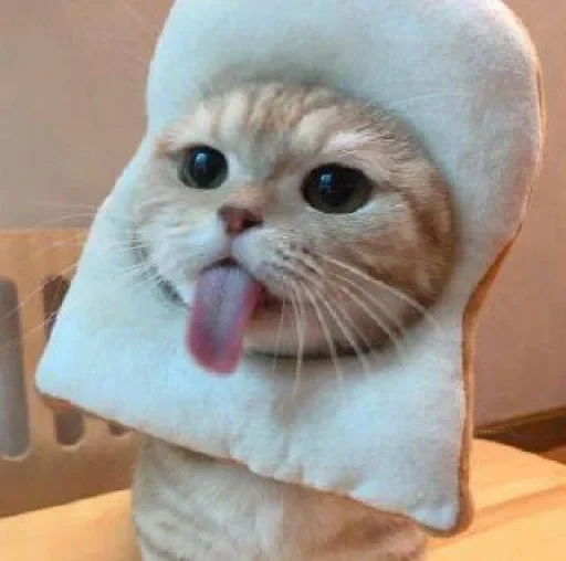 😐 Стикер «Miu Cats» для Telegram