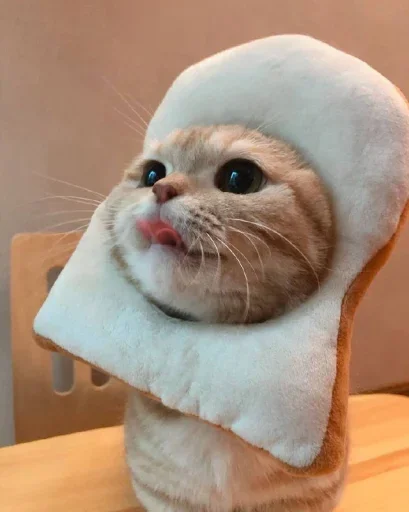 😐 Стикер «Miu Cats» для Telegram