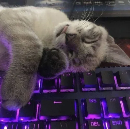 😐 Стикер «Miu» для Telegram