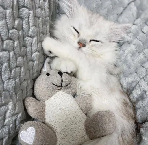😐 Стикер «Miu» для Telegram