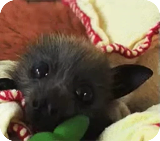 ☺️ Стикер «Bats» для Telegram