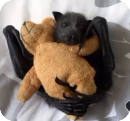 🧸 Стикер «Bats» для Telegram