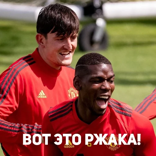😂 Стикер «Мы с*ка Юнайтед!» для Telegram