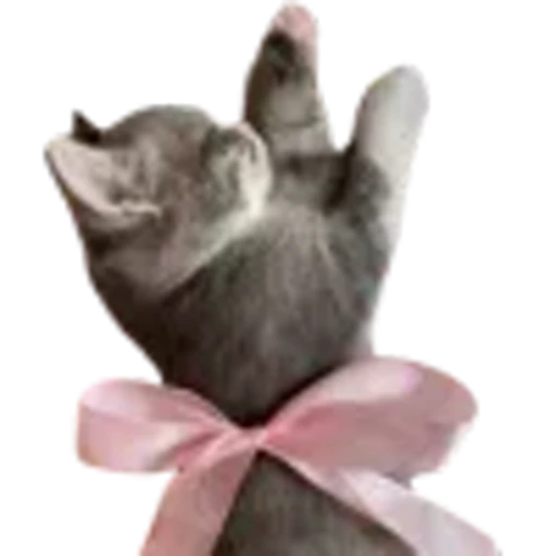 🎀 Эмодзи «miu» для Telegram