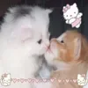 🥛 Эмодзи «Cute aesthetic 2» для Telegram