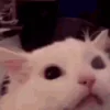 Стикер 11 🔫🔫🔫 emoji mix