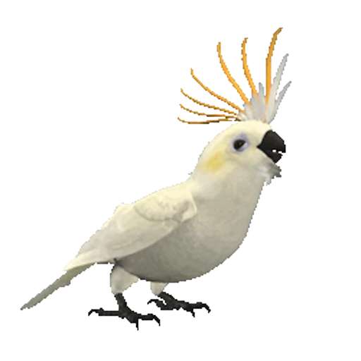 🦜 Стикер «CrazyMix» для Telegram