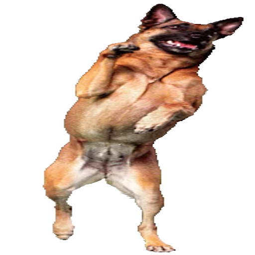 🐕 Стикер «CrazyMix» для Telegram