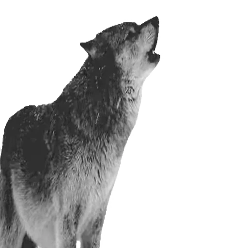 🐺 Стикер «CrazyMix» для Telegram