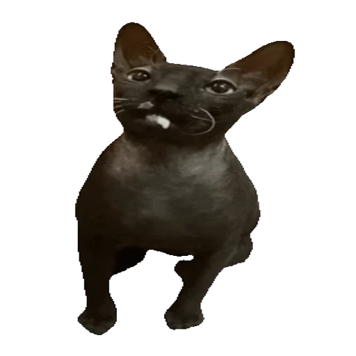 🐈‍⬛ Стикер «CrazyMix» для Telegram
