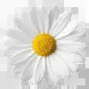 Стикер 43 Mixed #random #status