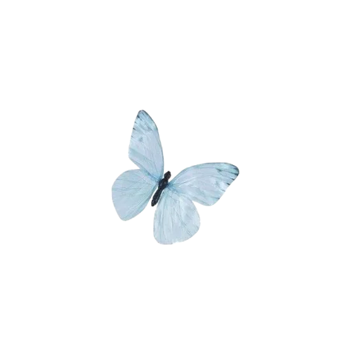 🦋 Стикер «miy 1 0» для Telegram