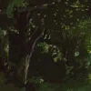 🖼 Эмодзи «Miyadzaki manzaralari» для Telegram