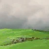 🖼 Эмодзи «Miyadzaki manzaralari» для Telegram